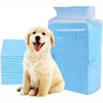 Pads Absorbentes para Mascotas x12 — Entrenamiento y Protección del Hogar