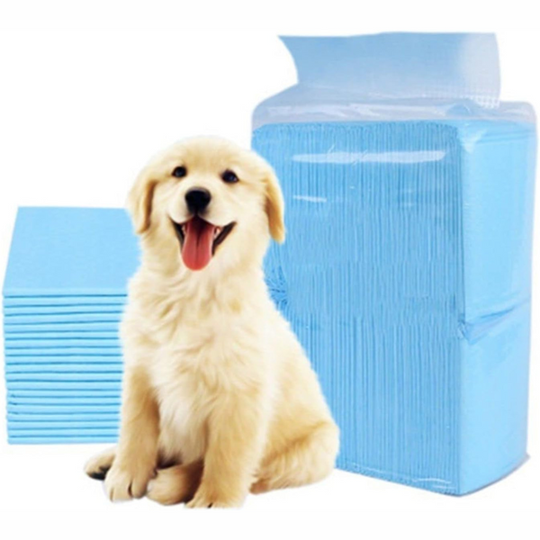 Pads Absorbentes para Mascotas x12 — Entrenamiento y Protección del Hogar