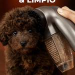 Aspirador de Pelo para Mascotas AspiraPeludos — Adiós al Pelo en el Sofá